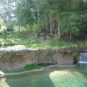 Asian Forest Sanctuary - Rotation Exhibit