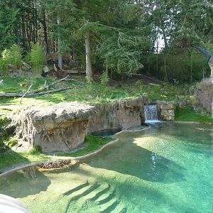 Asian Forest Sanctuary - Rotation Exhibit