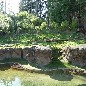Asian Forest Sanctuary - Rotation Exhibit