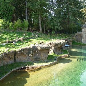 Asian Forest Sanctuary - Rotation Exhibit