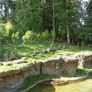 Asian Forest Sanctuary - Rotation Exhibit