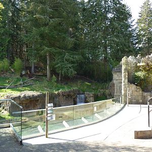 Asian Forest Sanctuary - Rotation Exhibit