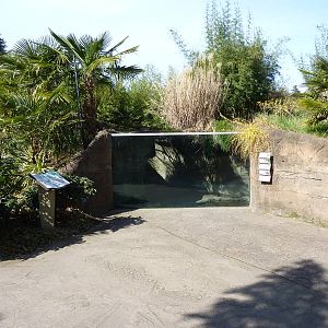 Asian Forest Sanctuary - Rotation Exhibit