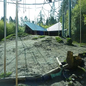 Asian Forest Sanctuary - Rotation Exhibit
