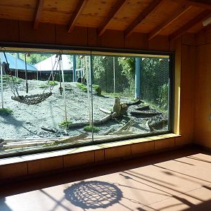 Asian Forest Sanctuary - Rotation Exhibit