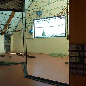 Asian Forest Sanctuary - Rotation Exhibit