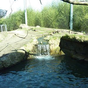 Asian Forest Sanctuary - Rotation Exhibit