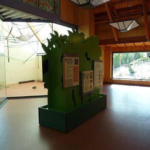 Asian Forest Sanctuary - Rotation Exhibit