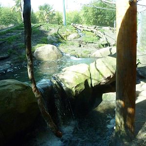 Asian Forest Sanctuary - Rotation Exhibit
