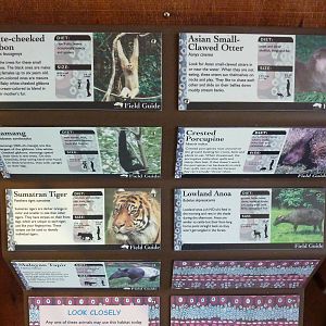 Asian Forest Sanctuary - Rotation Exhibit Signage
