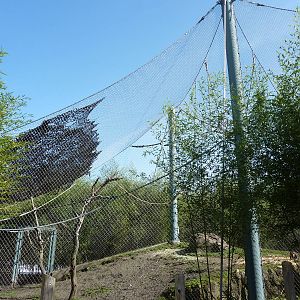 Asian Forest Sanctuary - Rotation Exhibit