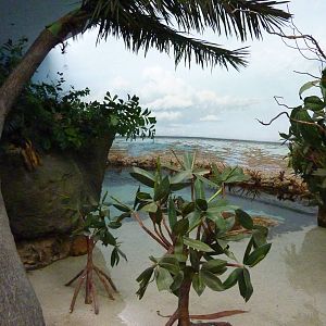 South Pacific Aquarium