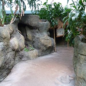 South Pacific Aquarium