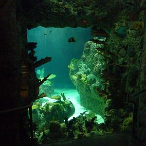 South Pacific Aquarium