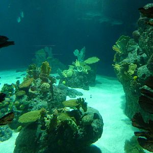 South Pacific Aquarium