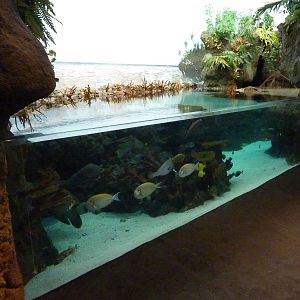 South Pacific Aquarium