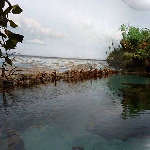 South Pacific Aquarium