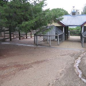 Farmyard area