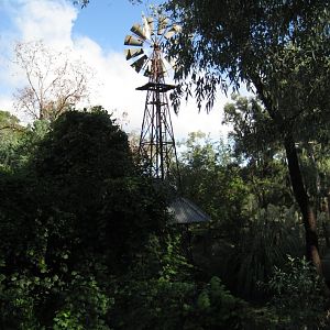 Windmill