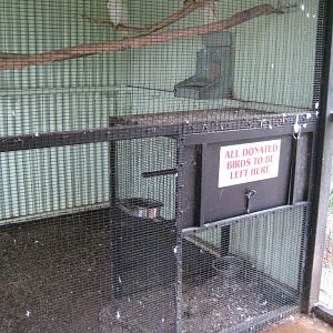 Donated birds