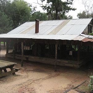 Budgie/Cockatiel building