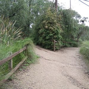 Interior of Walkthrough Aviary