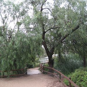 Interior of Walkthrough Aviary