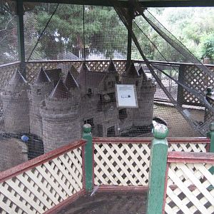 Guinea Pig enclosure