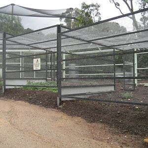 New Aviaries under construction