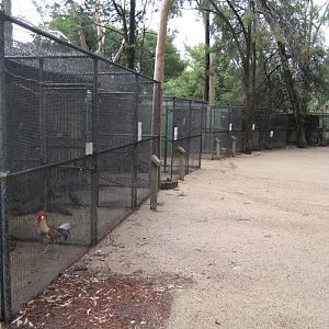 Row of Aviaries