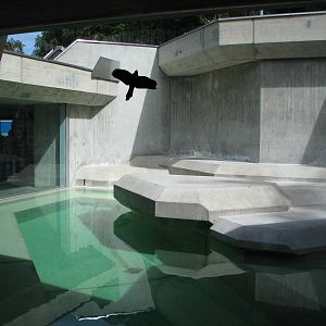 Tierpark Hellabrunn 2006 - Side-exhibit for Polar Bears?