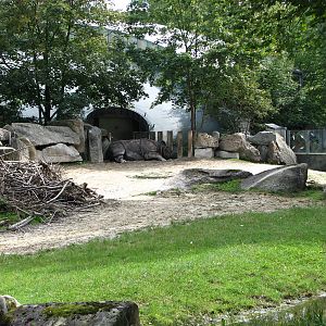 Tierpark Hellabrunn 2006 - Indian Rhinoceros outdoor exhibit