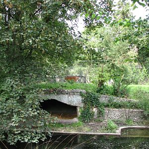Tierpark Hellabrunn 2006 - Very good Siberian Tiger exhibit