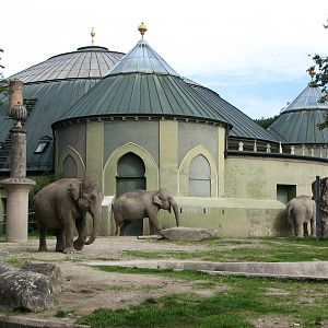 Tierpark Hellabrunn 2006 - Asiatic Elephant House and outdoor exhibit