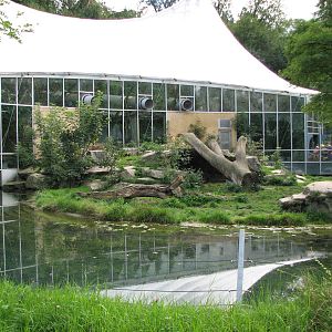 Tierpark Hellabrunn 2006 - African Lion exhibit