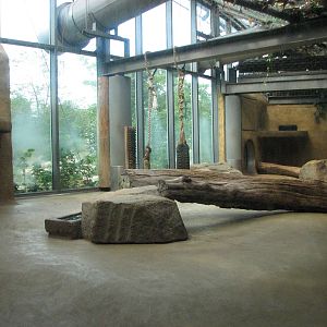 Tierpark Hellabrunn 2006 - Indoor African Lion exhibit