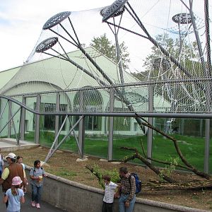 Tierpark Hellabrunn 2006 - New outdoor Sumatran Orangutan exhibit from the
