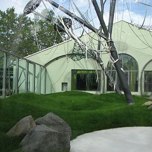 Tierpark Hellabrunn 2006 - New outdoor Sumatran Orangutan exhibit on the in