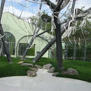 Tierpark Hellabrunn 2006 - New outdoor Sumatran Orangutan exhibit to the ri