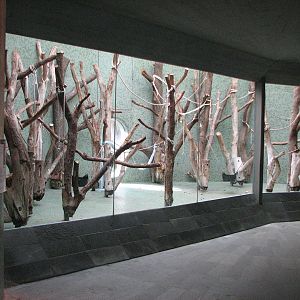 Tierpark Hellabrunn 2006 - Indoor monkey exhibit