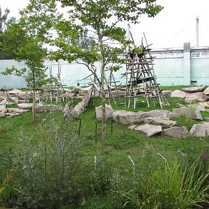 Tierpark Hellabrunn 2006 - New outdoor gorilla exhibit