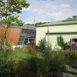 Tierpark Hellabrunn 2006 - Side of the new outdoor gorilla exhibit and entr