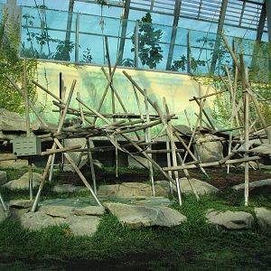 Tierpark Hellabrunn 2006 - New indoor gorilla exhibit