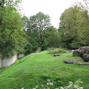 Tierpark Hellabrunn 2006 - Marmot and Chamois exhibit