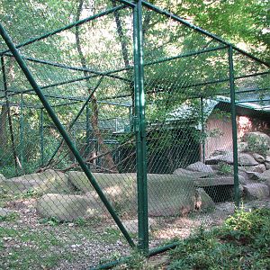 Tierpark Hellabrunn 2006 - Puma enclosure