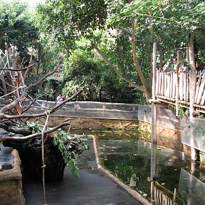 Dresden Zoo 2008 - Moat around the Mandrill exhibit inside the Africa House