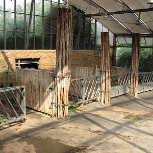 Dresden Zoo 2008 - Elephant stalls inside the Africa House