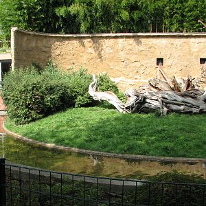 Dresden Zoo 2008 - Moat and left side of the Mandrill exhibit in the Africa