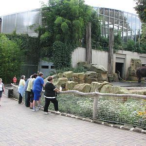 Dresden Zoo 2008 - Visitors observe an Asiatic Elephant outside the Africa