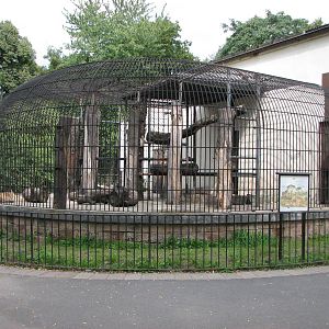 Dresden Zoo 2008 - Right side of the old Lion cage